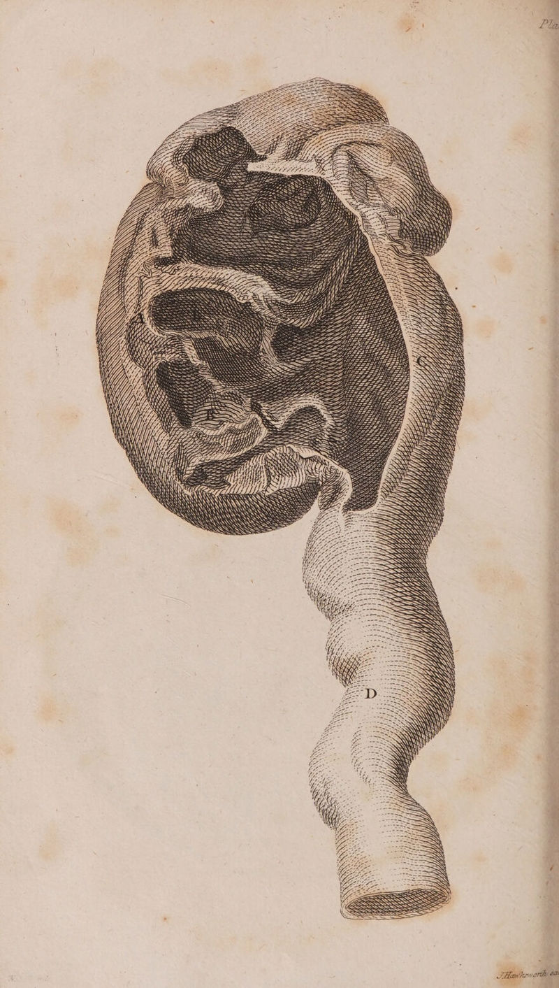 SS Ss SS ~~ BSNS SSS SSE SS SSE SSS SSS SSS SSS