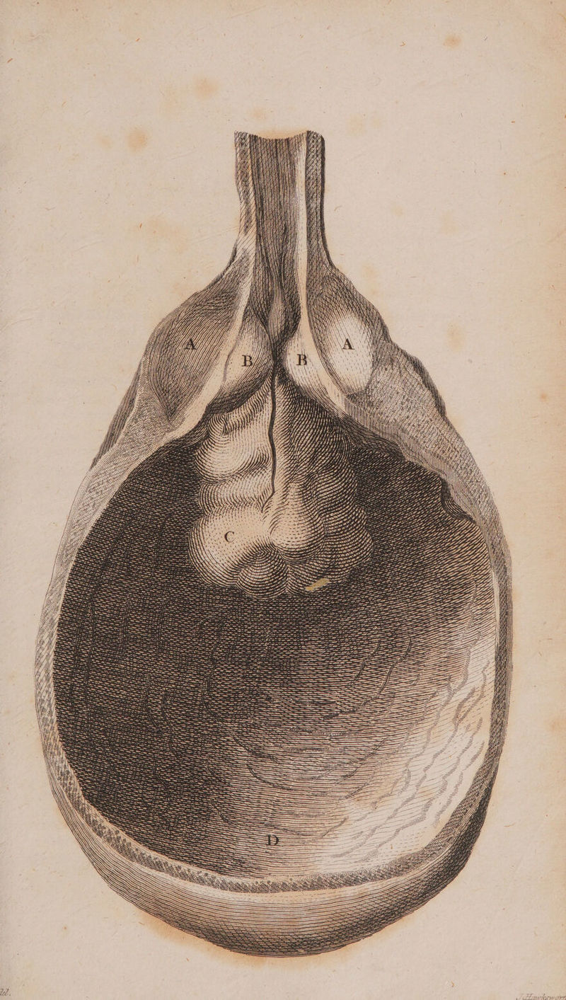 AN \ : — —— SS SS