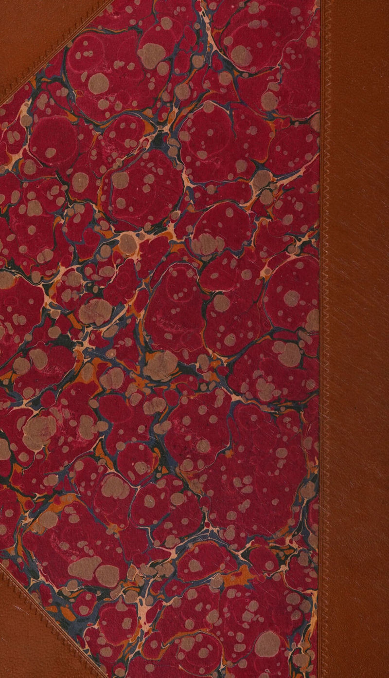 oe a Ae) ae aa A eer Wie CAPA AeAee ry \ a 4 Ae ae a Nf AN PN AN Sea. < A ee yo ; x a f* #* Av \f WA KK AR XS ‘ : Af AS AF A fi ee, Oss f / ff MA, on fi NA RAS RA NZ f VA AS aK aA Be A Ad NA AS ag Y,