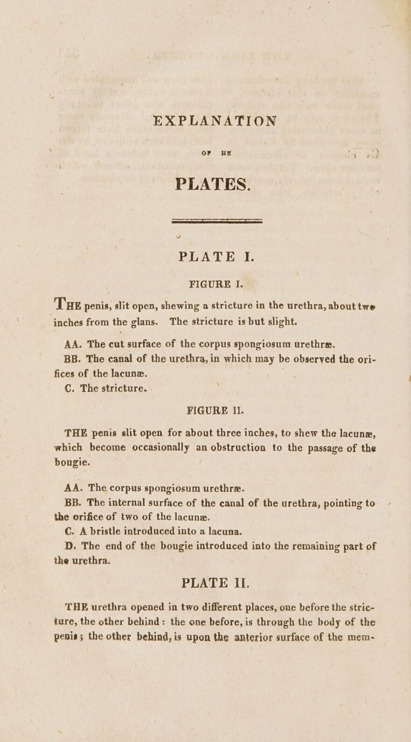 EXPLANATION OF HE da. «id PLATES. od PLATE I. FIGURE I. Tue penis, slit open, shewing a stricture in the urethra, about twe inches from the glans. The stricture is but slight. AA. The cut surface of the corpus spongiosum urethre. BB. The canal of the urethra, in which may be observed the ori- fices of the lacune. C. The stricture. FIGURE Il. THE penis slit open for about three inches, to shew the lacuna, which become occasionally an obstruction to the passage of the bougie. AA. The corpus spongiosum urethre. BB. The internal surface of the canal of the urethra, pointing to the orifice of two of the lacune. C. A bristle introduced into a lacuna. D. The end of the bougie introduced into the remaining part of the urethra. PLATE II. THE urethra opened in two different places, one before the stric- ture, the other behind: the one before, is through the body of the penis; the other behind, is upon the anterior surface of the mem-