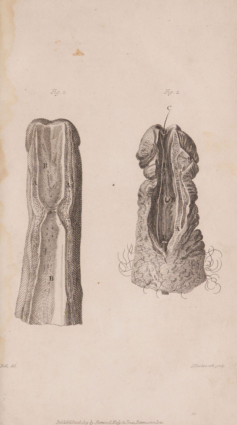 ft Zz yim ee Ye aes 2 TE Lis Fi ps: E7 ZZ OO Prine = TEES ASAI ARES 7 WIP L SLU p. Lah 7 As 3 Py Ee WI: Ly e Y