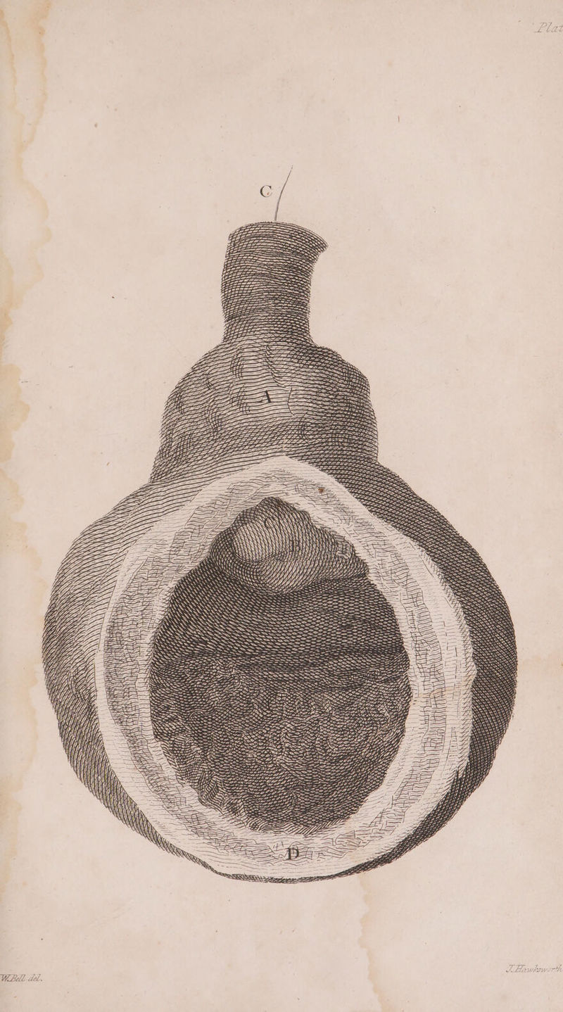 — Ss uy} ” Vy ny Hy) Vy) ON, Y N) t f) ORO ey ssi ee SSN AA CAit A a DILL : \ = S SV Ss SS TH es My ee Wish Bae Ze Bie 5 St) ieee Da iat %, Ue eer oy SS oe 7 ae <2 SSS