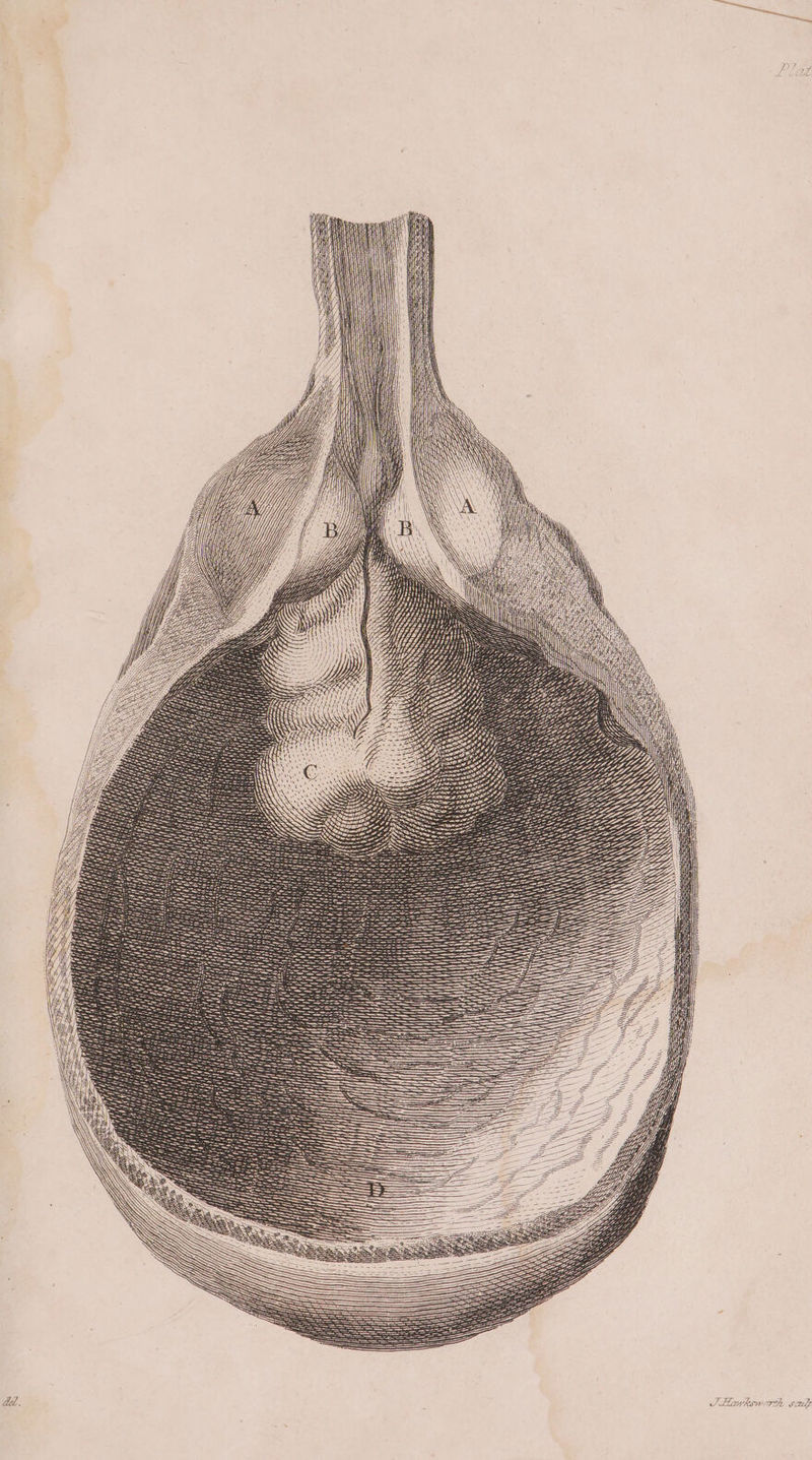 i Hy : Ha = —————— ———— SSSs ZZ FZ SYS gos ey SOLA GOEL UE LOA es Aes SF: 5