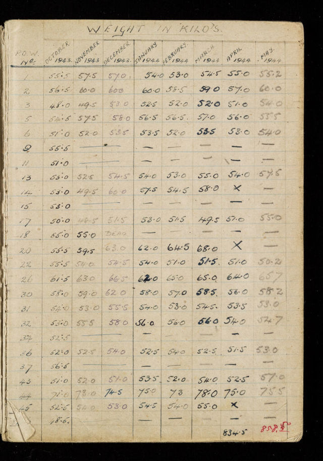 No text description is available for this image