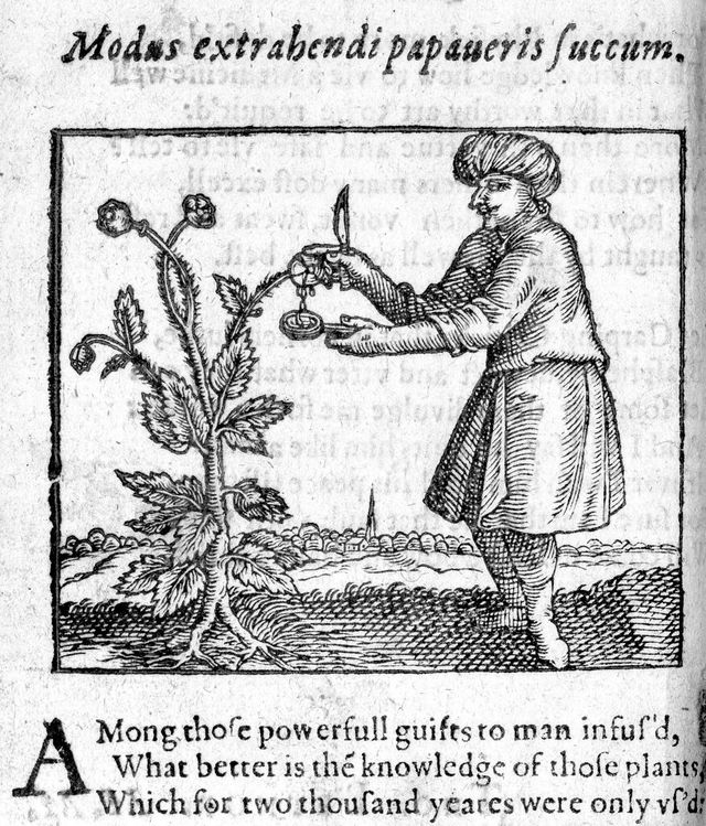 digitised image 1