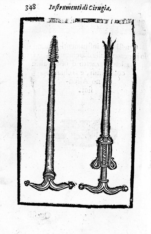 digitised image 1