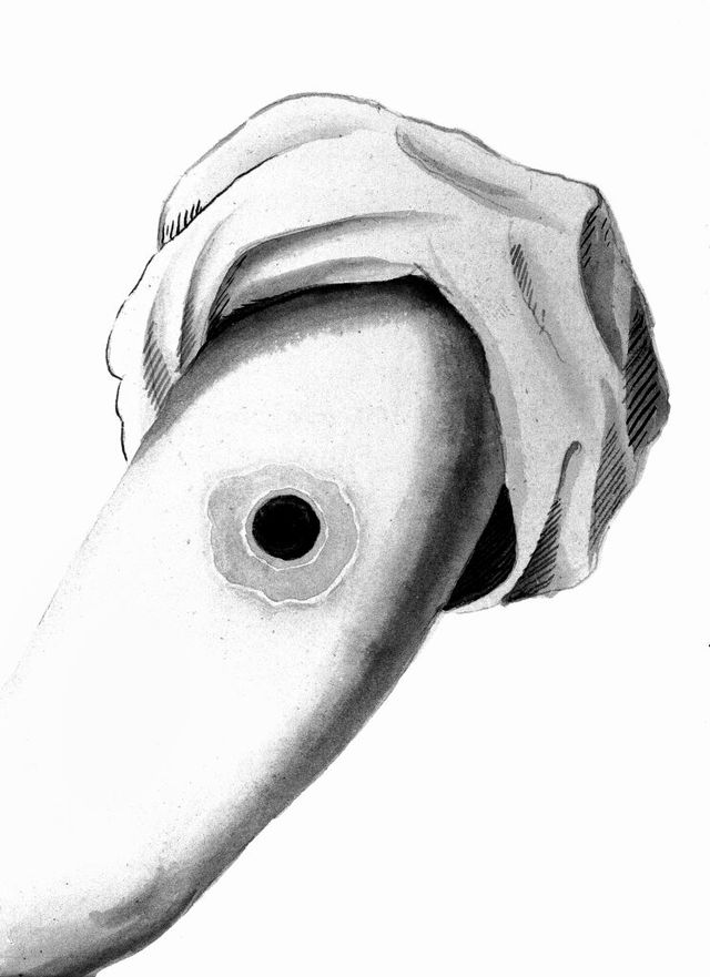 digitised image 1