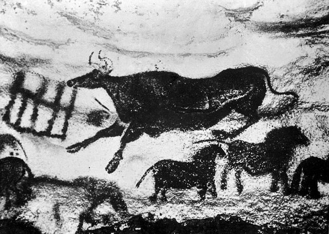 No text description is available for this image