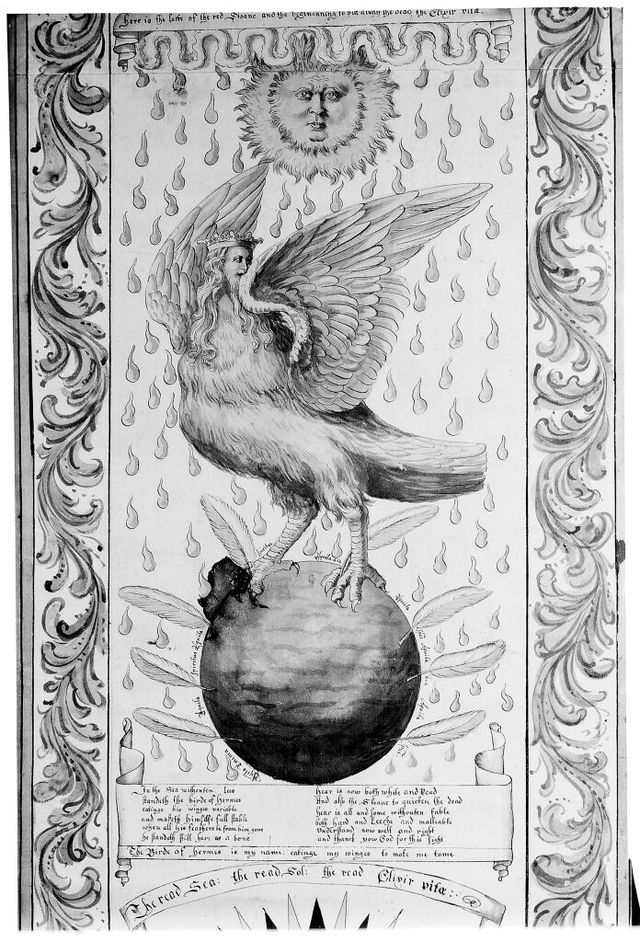 digitised image 1