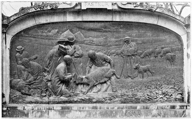 No text description is available for this image