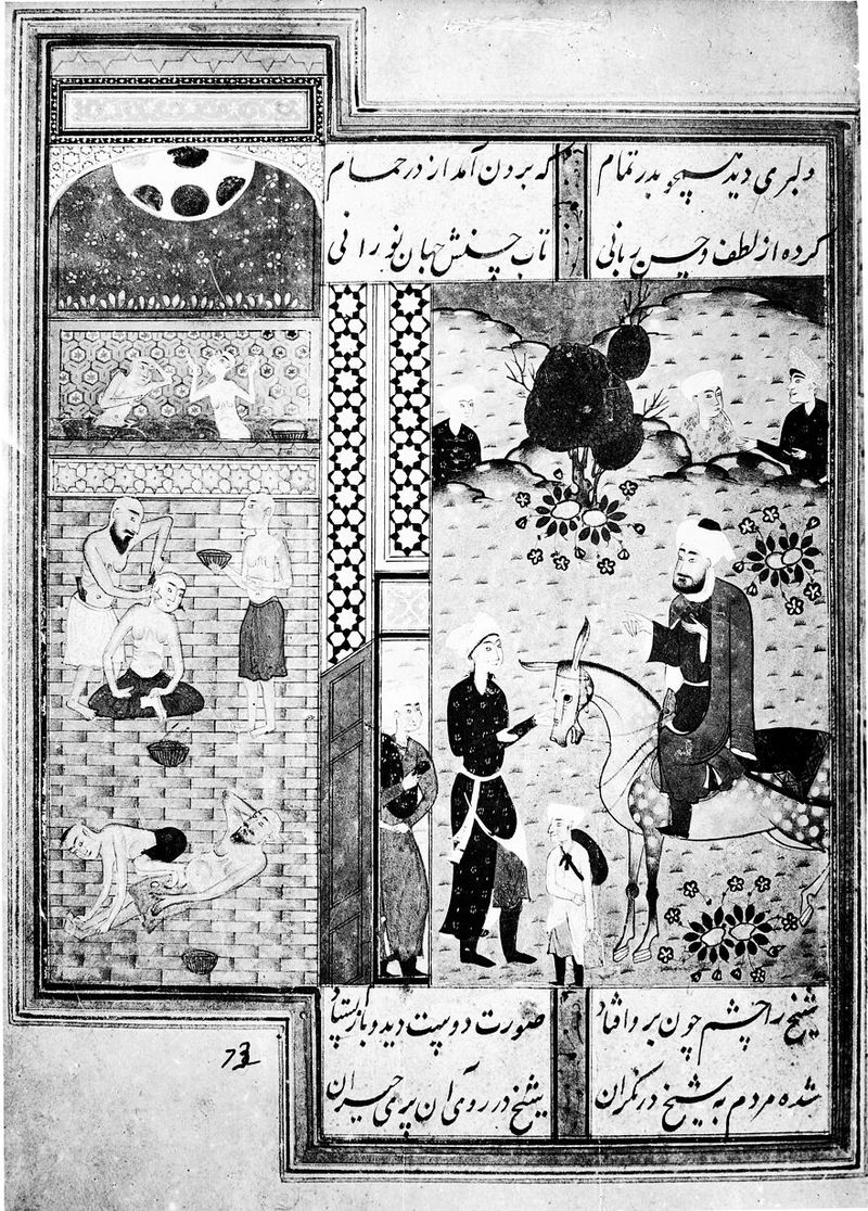 No text description is available for this image