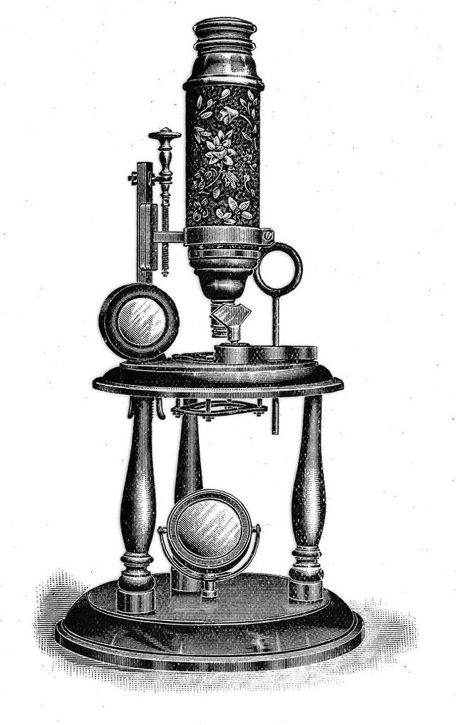 digitised image 1
