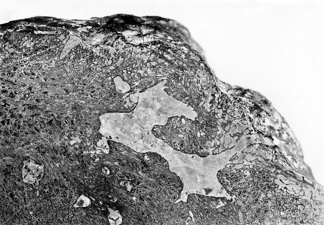 digitised image 1