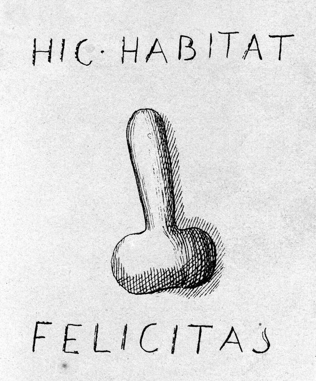 digitised image 1