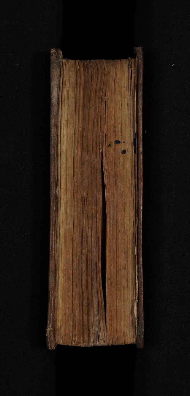 No text description is available for this image