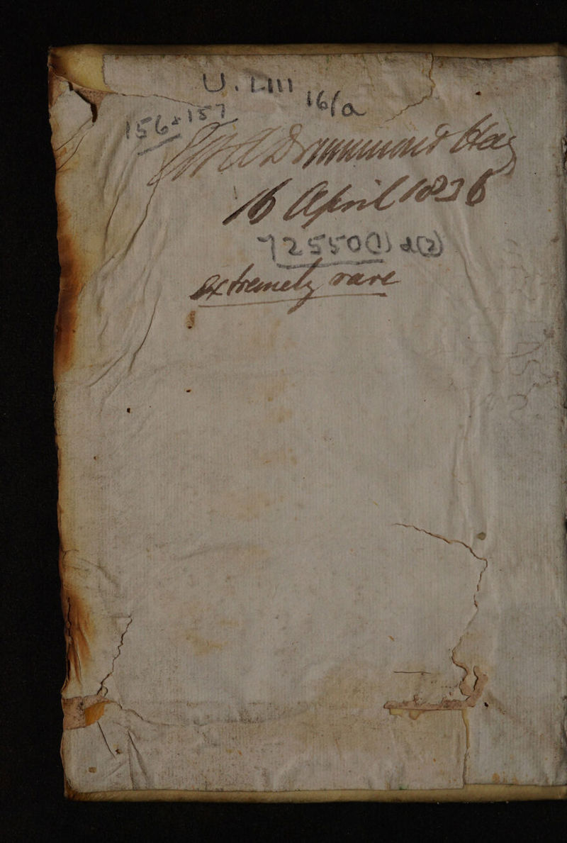 No text description is available for this image