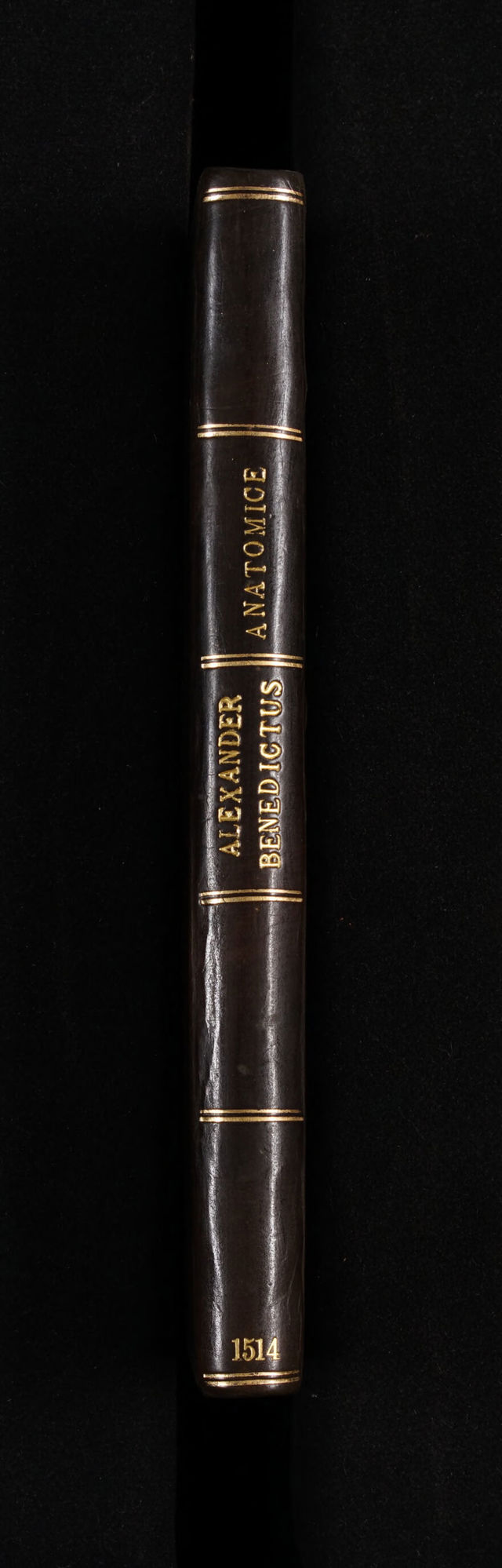 digitised image 2