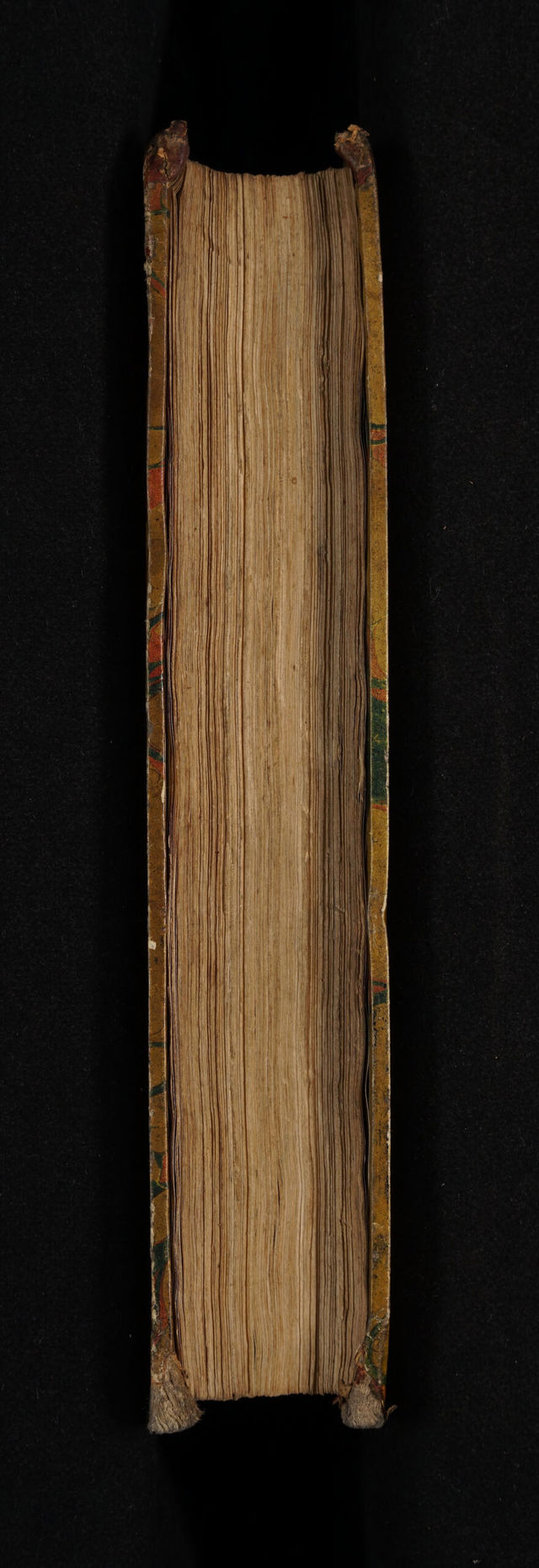 No text description is available for this image