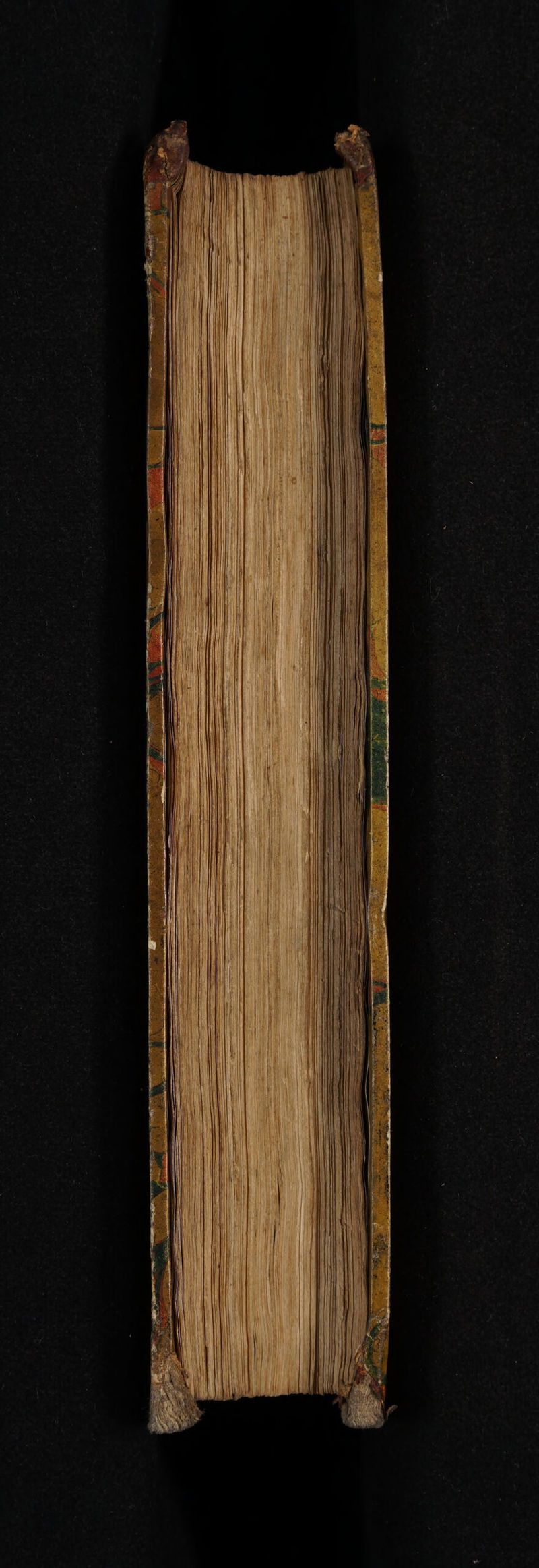 No text description is available for this image