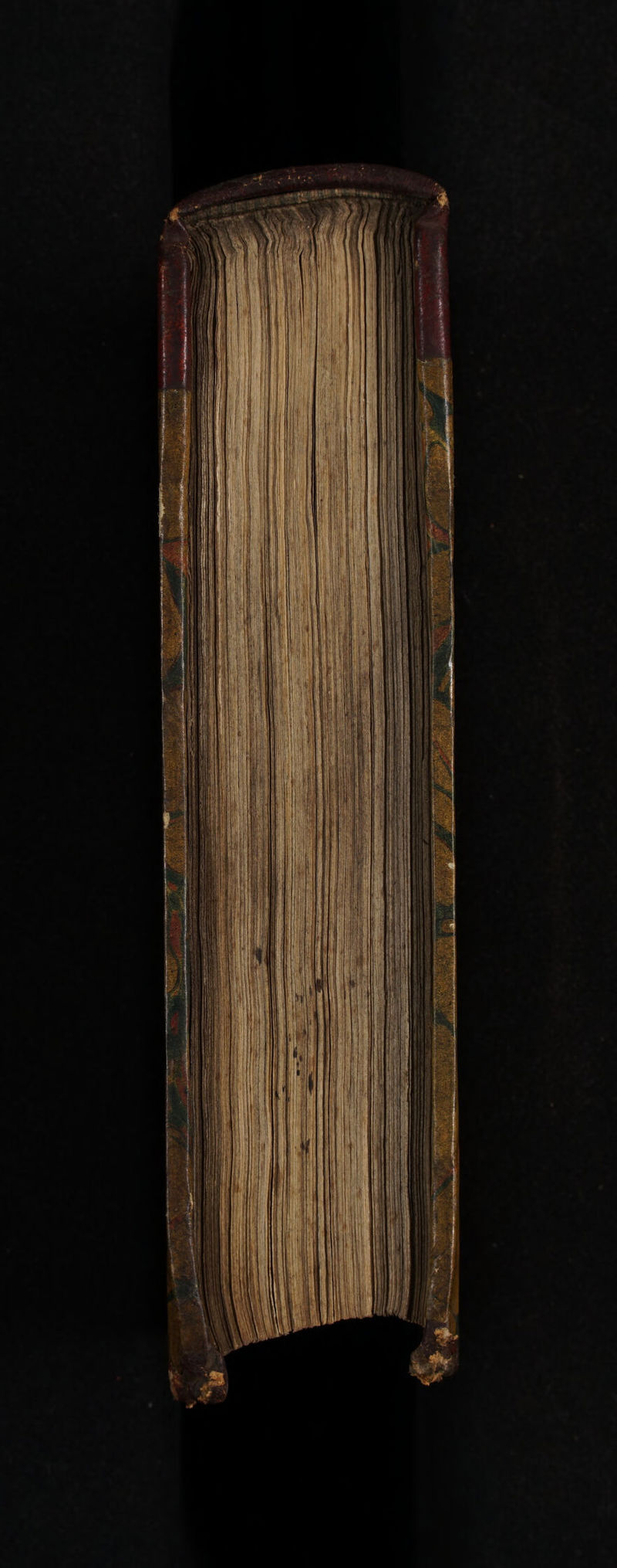 No text description is available for this image