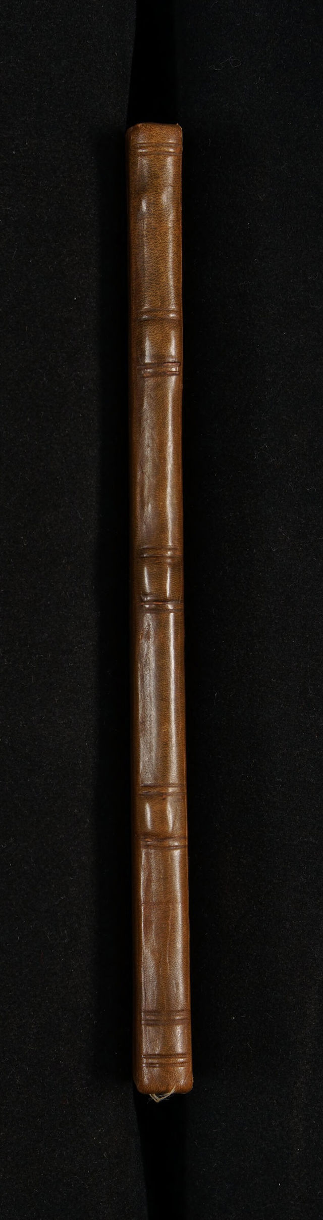 digitised image 2
