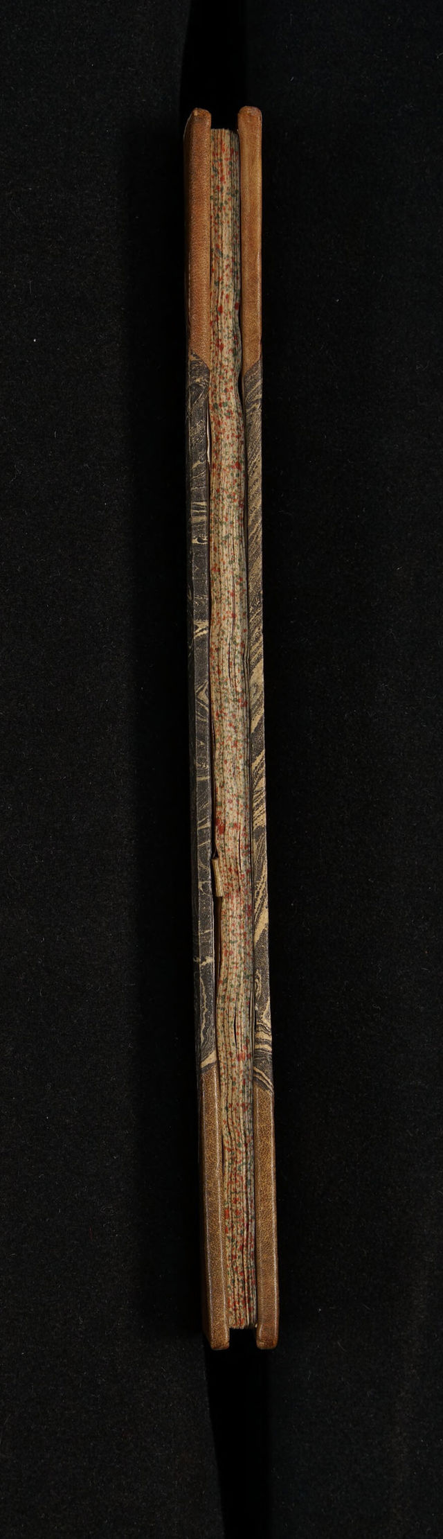 digitised image 3