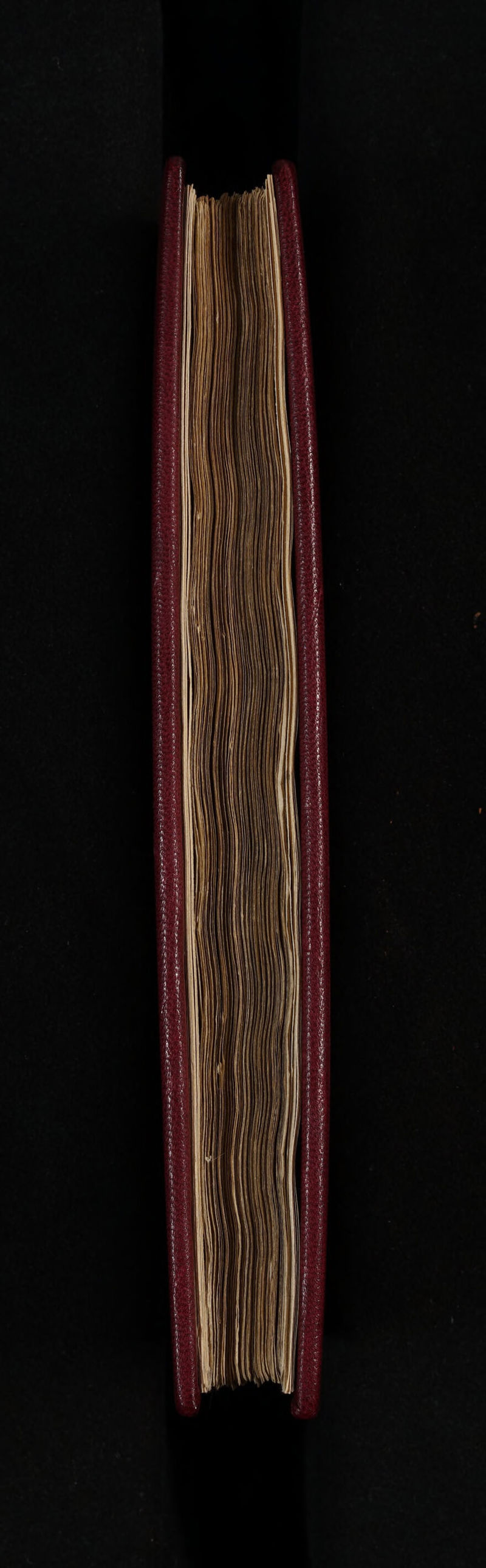 No text description is available for this image