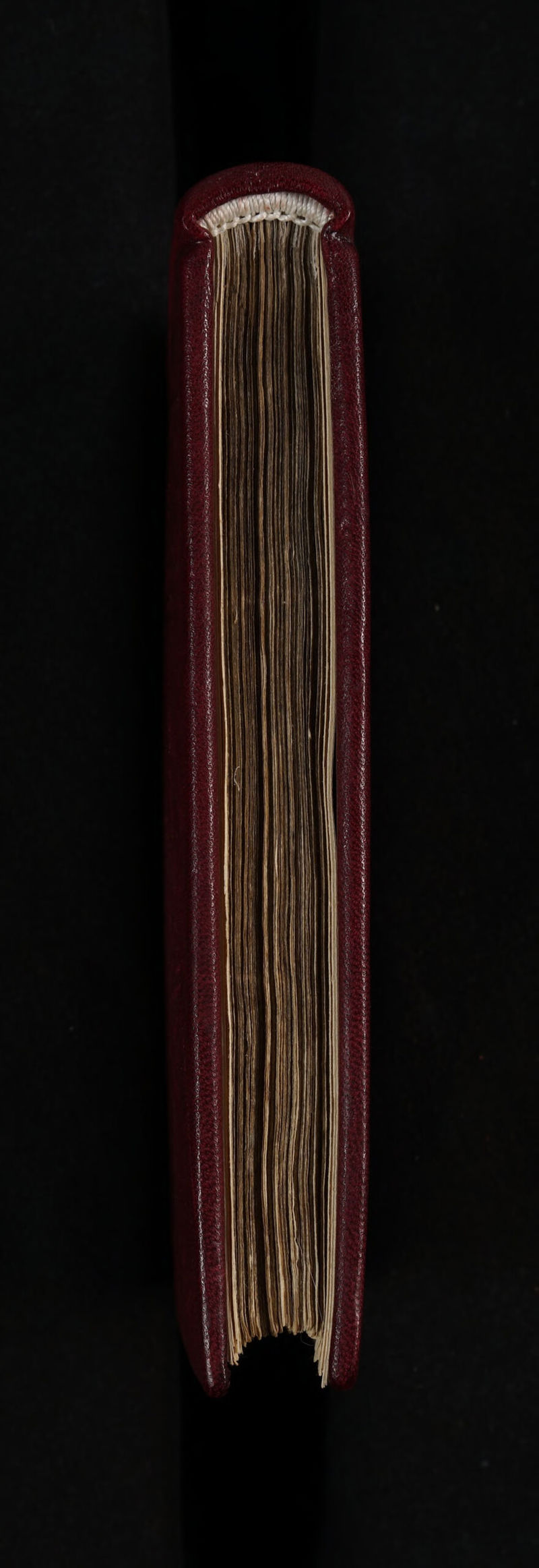 No text description is available for this image