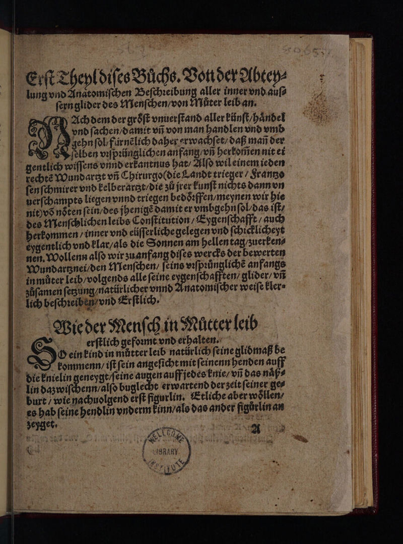 lung vnd Anatomiſchen Beſchꝛeibung aller inner vnd auſ⸗ fernglider des Menſchen / von Můter leib an. Ach dem der groͤſt vnuerſtand aller kůnſt / haͤndel And ſachen / damit vñ von man handlen vnd und N gehn ſol / fürnẽlich daher erwachſet / daß mañ der I ſelben vꝛſpꝛünglichen anfang / vñ herkommen nit ei verſchampts liegen vnnd triegen bedoͤꝛffen / meynen wir hie nit) võ noͤten ſein / des jhenigẽ damit er vmbgehnſol / das iſt / erkommen / inner vnd eüiſſerliche gelegen vnd fi chicklicheyt nen. Wollenn alſo wir zu anfang diſes wercks der bewerten in můter leib / volgends alle feine eygenſchafften / glider/ vñ lich beſchꝛeiben / vnd Erſtlich . Wie der Menſch in Můcter leib erſtlich gefoꝛmt vnd erhalten. . | G ein kind in můtter leib natürlich feine glidmaß be fkommenn / iſt ſein angeſicht mit ſeinenn henden auff zeyget.