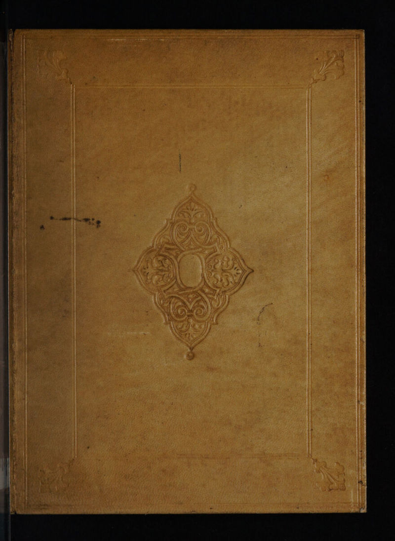 No text description is available for this image