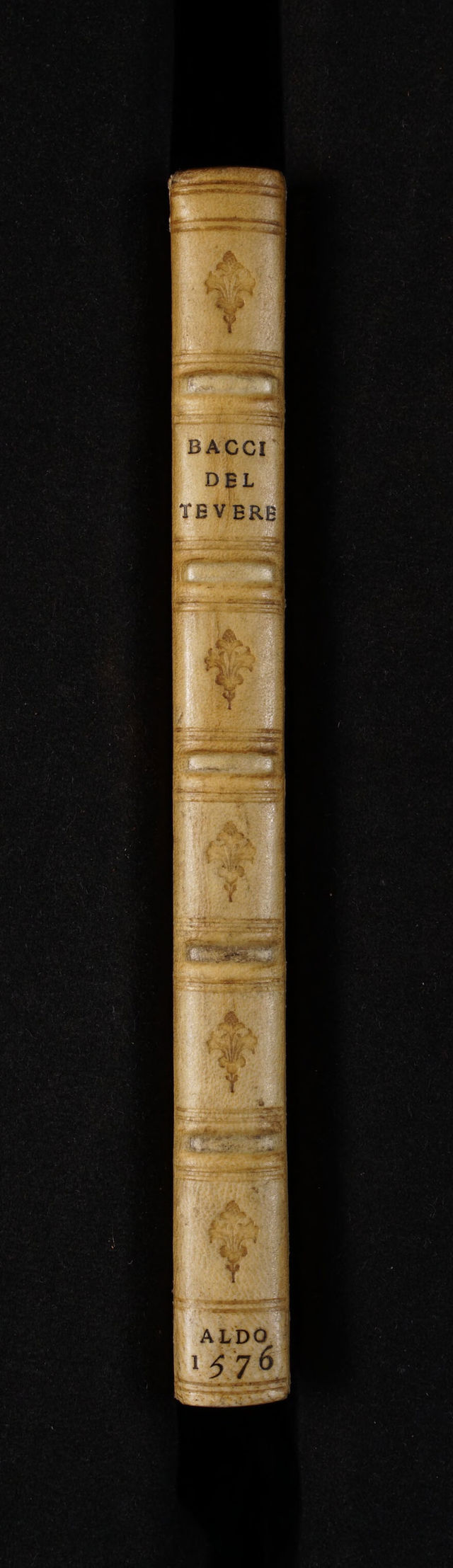 digitised image 2
