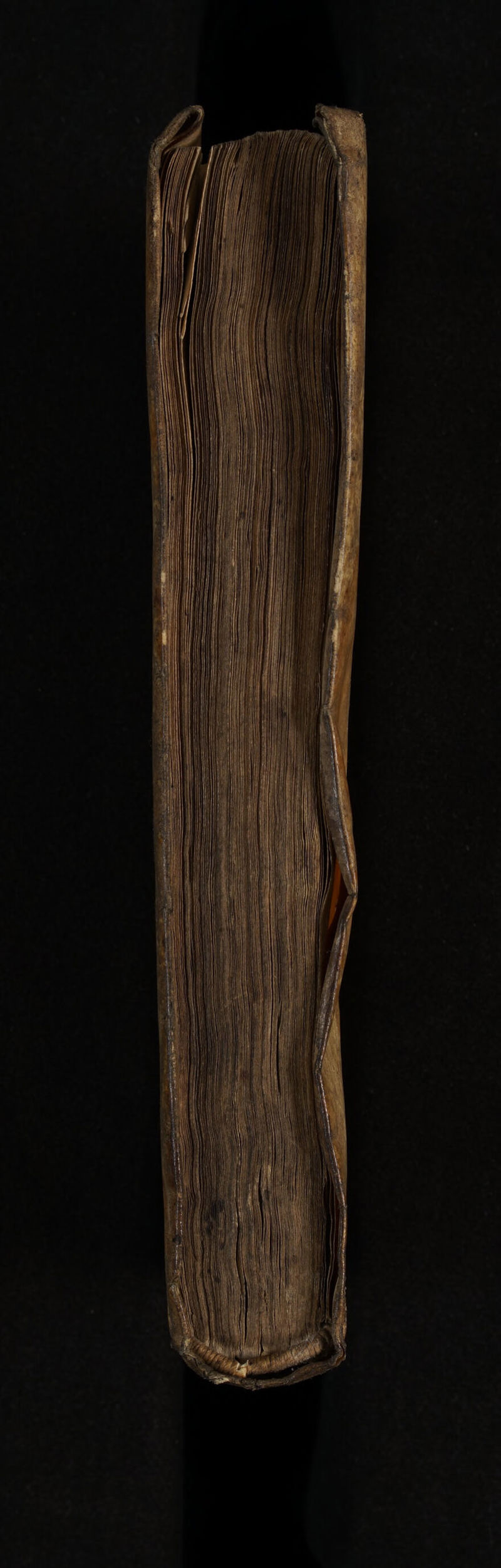 No text description is available for this image