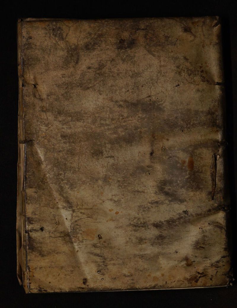 No text description is available for this image