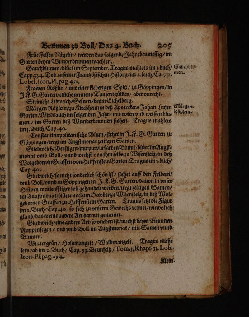 — — EEE .— . Brunnen zů Bol / Das g. Buch. zog ehe gelſen Naͤgelin / werden das folgende Jahr ebenmeſſig / im Garten beym Wunder brunnen wachſen. | Lobel. Icon, Pl. pag 451. r Frawen Koblin / mit einer kleberigen Spitz / zu Goͤppingen / in J. F. G. Garten / etliche nennens Tauſentguͤlden / aber vnrecht Steinicht Lidweich / Geſneri / beym Eichelberg. Garten. Wirdt auch im folgenden Jahr / mit roten vnd weiſſen blu⸗ 8 men / im Garten deß Wunderbrunnen ſiehen. Tragus mahlets im j Buch / Cap. 40. 5 8 Conſtantinopolitaniſche Blum / ſtehet in J. F. G. Garten zu Goͤppingen / tregt im Augſtmonat zeitigen Samen. Gliedweich / Berſilgen / mit purpurfarben Blume bluͤet im Augſt⸗ G W;ͤ . EI Gliedweich / ſo nicht fondertich ſchoͤn iſt / ſtehet auff den Feldern / vmb Boll / vnnd zu Goͤppingen in J. F. G. Garten / dauon in vnſer Hiſtory weitleufftiger ſoll gehandelt werden / tregt zeitigen Samen / sm Augſtmonat / bluͤcte noch im Oetober zu Wiſenſteig / in dep Wol⸗ gebornen Graffen zu Helffenſtein Garten. Tragus ſetzt die Figur im i. Buch / Cap. 40, fo ſich zu vnſerm Gewechs retmet / wiewol ich glaub / das er eine andere Art darmit gemeinett 1 Gliedweich / eine andere Art / ſo vneben iſt / wechſt beym Brunnen Rappenſegen / vnd vmb Boll im Augſtmonat / mit Samen vnnd Blumen. 2 N ö | Wiatergrän / Holtzmangelt /IGafdmangelt: Tragus maß⸗ ts /ab im 2. Buch / Cap. 33. Brunfelß / Tom.ꝝz. Rhapſ· 3. Lob. Icon · Pl pag. 294. | Klein