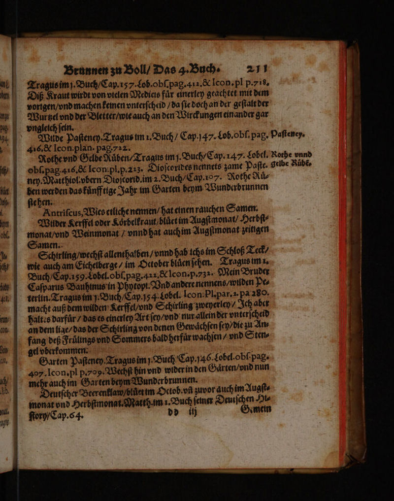 — Tragus im j. Buch / Cap. 157. Lob. obſ. pag. 42. &amp; Icon. pl p. is. Diß Kraut wirdt von vielen Medicis für einerley geachtet mit dem vorigen / vnd machen kemen vnterſcheid / da ſie doch an der geſtalt der Wurtzel vnd der Bletter / wie auch an den Wirckungen einander gar vngleich ſein. | 416. &amp; Icom plan. pag. 722. ; 1 Rothe vnd Gelbe Ruͤben / Tragus im J. Buch / Cap. 147. Lobel. ney. Matt hiol · vbern Dioſcorid. im 2. Buch / Cap. 107. Rothe Ru⸗ ben werden das kaͤnfftige Jahr im Garten beym Wunderbrunnen fieben:: - | 1 Antriſcus, Wies etliche nennen / hat einen rauchen Samen. Wilder Kerffel oder Koͤrbelkraut / bluͤet im Augſtmonat / Herbſt⸗ . ee Weinmonat / vnnd hat auch im Augſtmonat zeitigen amen. 5 5 1 . Schirling / wechſt allenthalben / vnnd hab ichs im Schloß Teck / wie auch am Eichelberge / im October bluͤen ſehen. Tragus im i. Buch / Cap. 159. Lobel. obſ. pag. 42a. &amp; lcon. p. 732. Mein Bruder Caſparus Bauhinus in Phytopt. Vnd andere nennens / wilden Pe⸗ halt s darfür / das es einerley Art ſey / vnd nur allein der vnterſcheid an dem lige / das der Schirlinz von denen Gewaͤchſen ſey / die zu Ars fang deß Fruͤlnngs vnd Sommers bald herfuͤr wachſen / vnd Sten⸗ gel vberkommen. 5 955 2 Garten Paſteney. Tragus im j. Buch Cap. 146 Lobel. obſ Pas. | 40. Icon. pl p.709: Wechſt hin vnd wider in den Gaͤrten / vnd nun mehr auch im Gar ten beym Wunderbrunnen. Deutſcher Beerenklaw / bluͤet im Ociob. vñ zuvor auch im Augſt⸗ monat vnd Herbſtmonat. Mat td am 1. Buch elner e a j N ſtory / Cap. 64. dd i