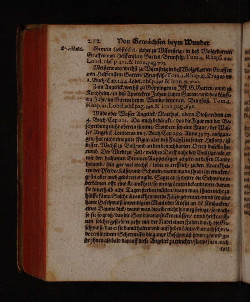 — S —— —— 9 — 2 * Von Gewaͤchſen beym Wunder | Gemein Liebſtockel / eher zu Wiſenſteig / in deß Wolgebornen Graffen von Helffenſtein Garten / Brunfelß / Tom. 3. Rhapſ. 44. Lobel. obſ p 401. &amp; icon. pago. N 8 Melſterwurz / wechſt zu Wiſenſteig in deß Molgebornen Graffen von Helffenſtein Garten / Brunfelß / Tom. 3. Rhap 2j. Tragus im 4. Buch / Cap. 14 4. CLobel.obſ p.308. &amp; icon. p. o . Zam Angelick / wechſt zu Göppingen in J F. G. Garten / onnd zu Kirchheim / in deß Apoteckers Johan Lutzen Garten / vnd das kuͤnff⸗ ig Jahr / im Garten beym Wunderbrunnen. Brunfelß. Lom. z. Nhap. 21. Lobel. obſ. pag. 358. &amp; icon, pag. 6s. | . Wilde oder Waſſer Angelick / Matthtol. vbern Dtoſeoridem m 4. Buch / Cap. 10. Da mich beduͤnckt / das die Figur mit der Bes; |) ſchreibung nicht wherein ſtimme / Sondern ſey eine Figur / der Waſ⸗ fer Angelick. Lontcerus im. Buch / Cap. 299. Auno 1573. außgan⸗ gen / hat nicht eine gute Figur / aber deß Fuchſij in ſeiner Hiſtory / iſt 1 beſſer. Wechſt zu Boll / vnd an den benachbarten Orten daſelbs he⸗ zumb. Der Wirdt zu Zell / welches Dorff nahe bey Boll ligt / als er mir den heiſſamen Brunnen Rappenſegen zeigete / an deſſen Rande herumb / fein gar viel wechſt / lobte es treff lich / zu den Kranckhei⸗ ten der Pferde / Luhe / vnd Schwein / wann mans ihnen im ttincken / ‚grün oder auch gedoͤrret eingibt. Sagte auch weiter die Schweinen, berkaͤmen offt eine Kranckheit / ſo wenig Leuten bekandt were / daran fie innerhalb acht Tagen ſterben muͤſten / wann man jhnen nicht zu huͤlffe kaͤme. Solche Kranckheit werde Faͤſen genennet / vnd ſey eine harte Geſchwulſt inwendig im Maul oder Ruͤſſel an de Kinbacken / eines Daums dick / wann man dieſelbe nicht hinweg bringt /ſ. o wach⸗ Se fie ſo groß / das die Sew daran erſticken muͤſſen / vnnd heiffe er jh⸗ nen ſolcher geſtalt / er ziehe mit der Nadel einen Faden durch die Ge⸗ ſchwulſt / das eꝛ ſie damit halten vnd auffheben koͤnne / danach ſchnel⸗ de er mit einem Schermeſſer die gantze Geſchwulſt hinweg / vnnd ge⸗ Ee jpnen als bald darauff dieſe Angelic zu tuincken / ſrewe jnen auch