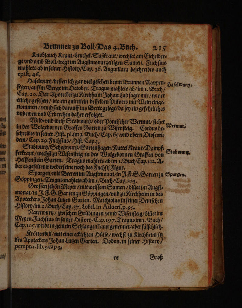 Knoblauch Kraut / Leuchel / Saßkraut / wechſet am Eichelber⸗ ge vnd vmb Boll / regt im Augſimonat zeitigen Samen. Fuchſius u 7 5 in ſeiner Hiſtorn / Cap. 36, Angutllara beſchreibts auch 5 4 s “ | epi | Haſelwurtz / deſſen ich gar viel geſehen beym Brunnen Rappen⸗ Haſelwurz⸗ ſegen / auffm Berge im October. Tragus mahlets ab / im i. Buch / Cap. 20. Der Apotecker zu Kirchheim Johan Lutz ſagte mir / wie er tliche geſehen / die ein qui tlein deſſelben Pulvers mit Wein einge⸗ nommen / vnnd ſich darauff ins Bette gelegt / da ſey ein gefehrliches vndewen vnd Erbrechen daher erfolget. Wlld⸗ vnd weiß Stabwurtz / oder Pontiſcher Wermut / ſtehet w in des Wolgebornen Graffen Garten zu Wiſenſteig. Cordus be⸗ Ve rmut. ſehreibes in feiner Hiſt. pl. im 3. Buch / Cap. Gy. vnd vbern Dioſconi⸗ dem / Cap. 29. Fuchſius / Hiſt. Cap.. Stabwurtz / Schoßwurtz / Gartenhagen / Kuttel Kraut / Dampf⸗ = ferkraut / wechſt zu Wiſenſteig in des Wolgebornen Graffen von Helffenſtein Garten. Tragus mahlets ab im i. Buch Cap.. Ar ber es gefelt mir weder ſeine noch des Fuchſij Figur. | Spargen / mit Beeren im Augſtmonat / in J F. G. Garten zu Spargen. tabwung, Göppingen Tragus mahlets ab im 1. Buch / Cap. 223. i Groſſen ſchoͤn Meyer / mit weiſſem Samen / blůet im Augſt . monat / in J F. G. Gar ten zu Goͤppingen / vnd zu Kirchheim in des Apoteckers Johan Lutzen Garten. Matthiolus in ſeiner Deutſchen Hiſtory/ im 2. Buch / Cap. 37. Lobel. in Aduerſ. p. . Naterwurtz / zwiſchen Gruͤbingen vnnd Wiſenſteig / bluͤet im 1 pempt . i. lib. z. cap. 3 4 | ee Groß
