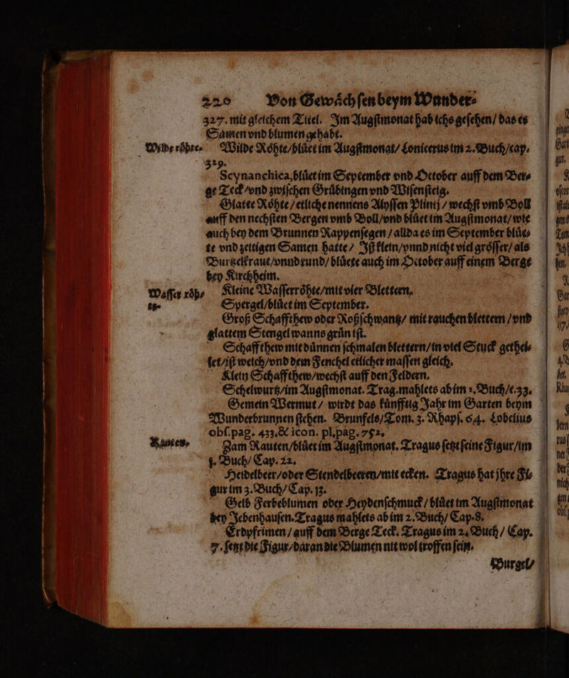 Samen vnd blumen gehabt. Wilde Roͤhte / bluͤet im Augſtmonat / Loniterus im 2. Buch / cap. 329 Seynanchica,sfäctim September vnd October auff dem Ber⸗ ge Teck / vnd zwiſchen Gruͤbingen vnd Wiſenſtetg. | | Glatte Roͤhte / etliche nennens Alyſſen Plinij / wechſt vmb Bol auff den nechſten Bergen vmb Boll / vnd blůet im Augſtmonat / wie auch bey dem Brunnen Rappenſegen / allda es im September bio | te vnd zeitigen Samen hatte / Ih klein / ynnd nicht viel groͤſſer / als Burtzelkraut / vnndrund / blücge auch im October auff einem Dare | bey Kirchheim. | Spergel / bluͤet im September. | Groß Schaffthew oder Roßſchwantz / mit rauchen blettern / vnd glattem Stengel wanns gruͤn iſt. Schaffthew mit duͤnnen ſchmalen blettern / in viel Stuck gethei⸗ let / itt weich / vnd dem Fenchel etlicher maſſen gleich. Klein Schaffthew / wechſt auff den Feldern, ö Schelwurtz / im Augſtmonat. Trag. mahlets ab im . Buch / e. 33. Gemein Wermut / wirdt das kuͤnfftig Jahr im Garten behm Wunderbrunnen ſtehen. 0 3. Rhapſ. 64. Lobelius obſ. pag. 433. &amp; icon. pl. pag. 75 4 Zam Rauten / bluͤet im Auafimonat Tragus ſetzt ſeine Figur m V Buch / Cap. 22. i| e ecken. Tragus hat jhre dk | gur im 3. Buch / Ca | Gelb Serben oder Heydenſchmuck / bluͤet im onst il Hey Jebenhauſen. Tragus mahlets ab im 2. Buch / Cap-8. g Erdpfrimen / auff dem Berge Teck. Tragus im 2. Buch Cap. | 7. anne eee nit wol troffen fein, | or- |