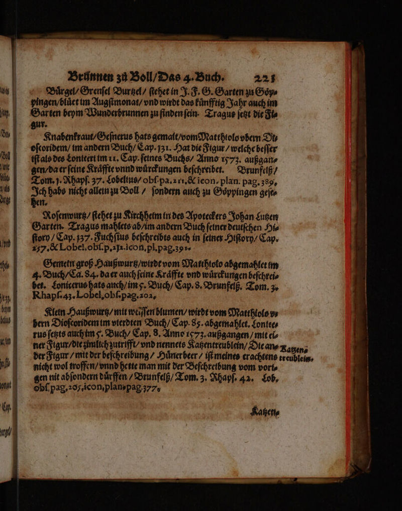Buͤrgel / Grenſel Burtzel / ſtehet in J. F. G. Garten zu Goͤp⸗ Knabenkraut / Geſnerus hats gemalt / vom Matthtolo vbern Ot⸗ oſeoridem / im andern Buch / Cap. zi. Hat die Figur / welche beſſer tft als des Lonttert im 11. Cap. feines Buchs / Anno 1573. außgan⸗ gen / da er ſeine Kraͤffte vnnd wuͤrckungen beſchreibet. Brunfelß / Tom. J. Rhapſ. 37. Lobeltus / obſ pa. 2 ri. &amp; icon. plan. pag. 3s. ben. | Roſenwurtz / ſtehet zu Kirchheim in des Apoteckers Johan gutzen Garten. Tragus mahlets ab / im andern Buch feiner deutſchen Hi⸗ ſtory / Cap. 137. Fuchſius beſchreibts auch in feines Hop’ Cap. 25. &amp; Lobel, obi. p. an. icon. pl. pag. 39 1. Gemein groß Haußwurtz / wirdt vom Matthiolo abgemahlet im 4. Buch / Ca. 84. da er auch feine Kraͤffte vnd wuͤrckungen beſchrei⸗ Rhapſ. 43. Lobel, obſ. pag. za, Klein Haußwurtz / mit weiſſen blumen / wirdt vom Matthlolo v⸗ bern Dioſcoridem im vierdten Buch / Cap. 85. abgemahlet. Lontte⸗ rus ſetzts auch im §. Buch / Cap. 8. Anno 1973. außgangen / mit ei⸗ nicht wol troffen / vnnd hette man mit der Beſchretbung vom vort⸗ gen nit abſondern duͤrffen / Brunfelß / Tom. 3. Rhahſ. 42. Job, obſ pag. z 0j, icon plans pag 377, Katzen.