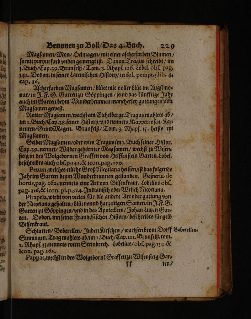 Magſamen / Mon / Oelmagen / mit einer aſcherfarben Blumen / ſo mit purpurfarb vnden gemengt iſt. Dauon Tragus ſchreibt / im J. Buch / Cap. 39. Brunfelß / Tom. 3. Rhapſ. 126. Lobel. obſ. pag. 142. Dodo in ſeiner Lateiniſchen Hiſtory / in fol. pempt. z. lib. 44 cap. 16. 05 Aſcherfarben Magſamen / bluͤet mit voller bluͤt im Augſtmo⸗ Magſamen geweſt. | Rotter Magſamen / wechſt am Eichelberge. Tragus mahlets ab / nenten / Grind Magen. Brunfelß / Tom. 3. Rhapſ. 5. heiſts rot Magſamen. = | Gelber Magſamen / oder wies Tragus im j. Buch feiner Hiſtor. Cap. 39. nennet / Wilder gehoͤrnter Magſamen / wechſt zu Wiſen⸗ ſteig in des Wolgebornen Graffen von Helffenſtein Garten. Lobel. befchreibts auch obſ. p. 4. & icon. pag. 270. Petum, welches etliche Groß Nicotiana heiſſen / iſt das folgende Jahr im Garten beym Wunderbrunnen geſtanden. Geſnerus de hortis, pag. 262. nennets eine Art von Bilſenkraut. Lobelius obſ. pag · 316. & icon. pl. p.384. Indianiſch oder Welſch Nicotiana. Pirapeia, wirdt von vielen fuͤr die andere Art oder gattung von der Nicottana gehalten / bluͤet vnnd hat zeitigen Samen / in J. F. G. ten. Dodon. inn feine Frantzoͤſiſchen Hiſtory / beſchreibts fuͤr gelb Bilſenkraut. Sinningen. Trag mahlets ab / im 1. Buch / Cap. 111. Brunfelß. tom. 1. Rhapf. zz nennets roten Steinbrech. Lobelius / obſ. pag 34 & icon. pag. 262. | Pappas, wechſt in des IBolgehorn? Haff Wiſenſteig Gar⸗ f ten /