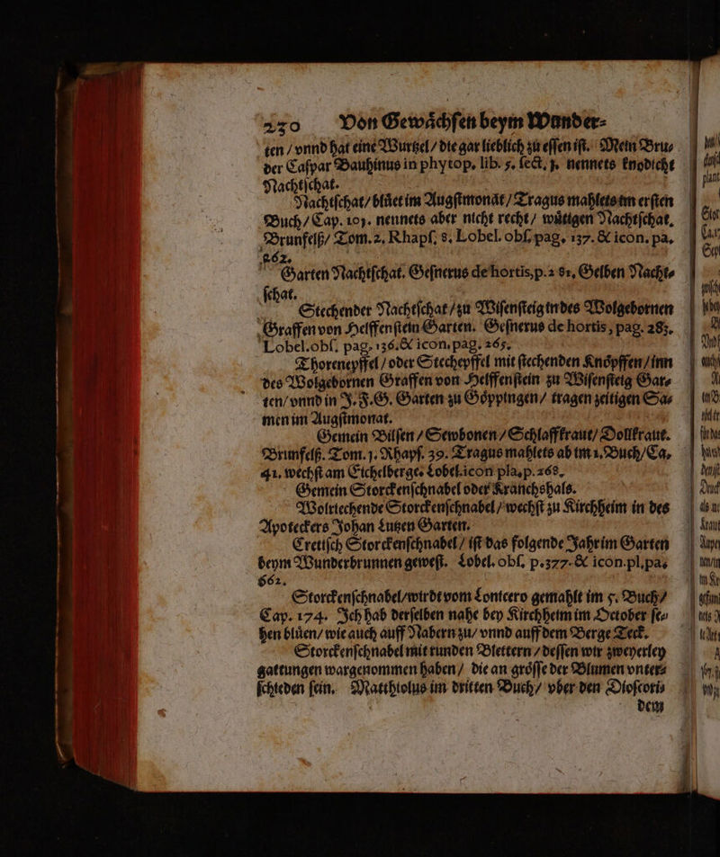 —— = — x *. 2 9 ten / vnnd hat eine Wurtzel / die gar lieblich zu eſſen iſt. Mein Bru⸗ der Caſpar Bauhinus in phytop. lib. 3. ſect. j. nennets knodicht Nachtſchat. g | Nachtſchat / blüctim Augſtmonat / Tragus mahletstm erſten Buch / Cap. 105. nennets aber nicht recht / wuͤttgen Nachtſchat. ſchat. | U AR Stechender Nachtſchat / zu Wiſenſteig indes Wolgebornen Graffen von Helffen ſtein Garten. Geſnerus de hortis, pag. 283. Thoreneyffel / oder Stechepffel mit ſtechenden Knoͤpffen / in des Wolgebornen Graffen von Helffenſtein zu Wiſenſteig Gar⸗ ten / vnnd in J. F. G. Garten zu Goͤppingen / tragen zeitigen Sa⸗ men im Augſtmonat. | Et Gemein Bilſen / Sewbonen / Schlaffkraut / Dollkraut. Brunfelß. Tom. J. Rhapf. 39. Tragus mahlets ab im 1. Buch / Ca, 41. wechſt am Eichelberge. Lobel. icon pla. p. 268. | Gemein Storckenſchnabel oder Kranchshals. 5 | Wolriechende Storckenſehnabel / wechſt zu Kirchheim in des Apoteckers Johan Lutzen Garten. | 4 ſchteden fein. Matthlolus im dritten Buch / vber den Dioſcori⸗ ' 4 1 dem