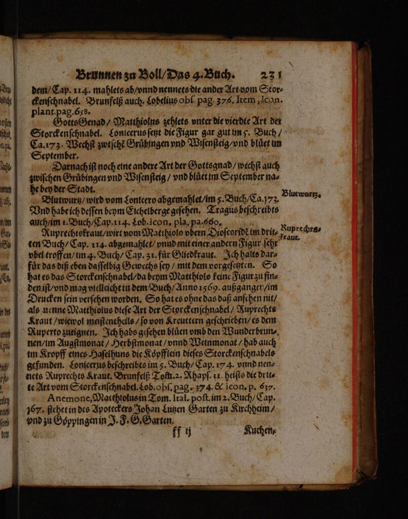 dem / Cap. 114. mahlets ab / vnnd nennets die ander Art vom Stor⸗ wckenſchnabel. Brunfelß auch. Lobelius ob pag 376. Item, Icon. plant. pag. 65s. | De 77 Gotts Genad / Matthiolus zehlets vnter die vierdte Art der Storckenſchnabel. Lonteerus ſetzt die Figur gar gut im F. Buch / Ca. 173. Wechſt zwtſchẽ Gruͤbingen vnd Wiſenſteig / vnd bluͤet im September. | Darnach iſt noch eine andere Art der Gottsgnad / wechſt auch zwischen Gruͤbingen vnd Wiſenſteig / vnd bluͤet im September na⸗ he bey der Stadt. k . Blutwurtz / wird vom Lonteero abgemahlet / im 5. Buch / Ca. yz. Vnd habe ich deſſen beym Eichelberge geſehen. Tragus beſchreibts auch / im i. Buch / Cap. 114. Lob. icon, pla.pa-660, Ruprechtskraut / wirt vom Matthiolo vbern Dioſcoridẽ im beige Fans ten Buch / Cap. 114. abgemahlet / vnnd mit einer andern Figur ſehr vbel troffen / im 4. Buch / Cap. 3 i. fuͤr Gliedkraut. Ich halts dar⸗ für das diß eben daſſelbig Gewechs ſey / mit dem vorgeſetzten. So hat es das Storckenſchnabel / da beym Matthiols keine Figur zu fin⸗ den iſt / vnd mag vielleicht in dem Buch / Anno 1569. außganger / im Drucken ſein verſehen worden. So hat es ohne das daß anſchen nit / als nenne Matthiolus dieſe Art der Storckenſchnabel / Ruprechts Kraut / wiewol meiſtent heils / ſo von Kreuttern geſchrieben / es dem Ruperto zurignen. Ich habs geſehen bluͤen vmb den Wunderbrun⸗ nen / im Augſtmonat / Herbſtmonat / vnnd Weinmonat / hab auch mim Kropff eines Haſelhuns die Koͤpfflein dieſes Storckenſchnabels gefunden. Lonicerus beſchreibts im 5. Buch / Cap. 17 4. vnnd nen⸗ te Art vom Storckenſchnabel. Lob. obſ. pag. 374. &amp; icon. p. 637. Anemone, Matthtolus in Tom. Ital. poſt. im 2. Buch / Cap. 067, ſtehet in des Apoteckers Johan Lutzen Garten zu Kirchheim / vnd zu Goppingen in J. . S. Gan. ee en Ah Blutwurtz.