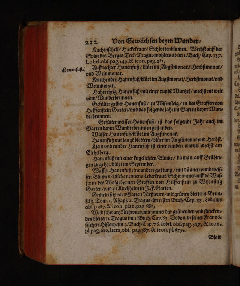 ——,— en —— — ZWERGE —— — 2 ur — > 1 5 — E _ — — — zn 1 232 Von Gewaͤchſen beym Wunder⸗ Kuchenſchell / Hackekraut / Schlottenblumen. Wechſt auff der Spitze des Berges Teck / Tragus mahlets ab im i. Buch / Cap. 37. Lobel. obſ pag. 149. &amp; icon, pag. 281. f Banenfuß,) Auffrechter Hanenfuß / bluͤet im Augſtmonat / Herbſtmonat / | vnd Weinmonat. 8 Kriechender Hanenfuß / bluͤet im Augſtmonat / Herbſtmonat / vnd Weinmonat. | Hahrechtig Hanenfuß / mit einer runde Wurtzel / wechſt nit weit vom Wunderbrunnen. 92 55 Gefuͤlter gelber Hanenfuß / zu Wiſenſteig / in des Graffen von Helffenſtein Garten / vnd das folgende jahr im Garten beym Wun⸗ derbrunnen:. Gefuͤlter weiſſer Hanenfuß / iſt das folgende Jahr auch im Garten beym Wunderbrunnen geſtanden. Waſſer Hanenfuß / bluͤet im Augfimonat. i Hanenfuß mit langẽ blettern / bluͤet im Augſtmonat vnd Herbſt. Klein vnd runder Hanenfuß iſt einer runden wurtzel wechſt am Eichelberg; N Hanenfuß mit einer kugelichten Blume / da man auff Gruͤbin⸗ ſer in des Wolgebornen Graffen von Helffenſtein zu Wiſenſteig Garten / vnd zu Kirchheim in J. F. Garten. | ä Gemein ſchwartz Garten Neßwurtz / mit gruͤnen blettern. Brun⸗⸗ felß. Tom. 1. Rhapſ. 2. Tragus / im erſten Buch / Cap. 35. Lobelius obſ p 387. &amp; icon plan. pag. s8 , Wild ſchwartz Rieß wurtz / mit jmmer dar gruͤnenden vnd ſtincken⸗ den blettern. Tragus im i. Buch / Cap. 8z. Dodon. in ſeiner Fr antzoͤ n ſiſchen Hiſtory / im z. Buch / Cap. 78. Lobel. obſ. pag. 35 &amp; icon. pb pag. so. Item, obſ pag s. &amp; icon. pl.. |