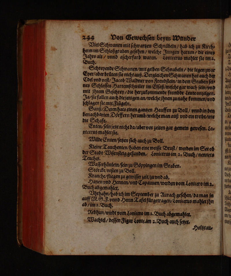 N u Schreyende Schwanen / mit gelben Schnabeln / die legen zwar Eyer / aber bruͤten ſie nicht auß. Dergleichen Schwanen hat auch der Cdel vnd veſt / Jacob Waldner von Freudſtein / in dem Graben ſei⸗ nes Schloſſes Hartemſchwiler im Elſaß / welche gar wach ſein / vnd mit ihrem Geſchrey / die herzukommende frembde Leute anzeigen. Ja / ſie fallen auch die jenigen an/ welche j hnen zu nahe kommen / vnd ſchlagen ſie mit Fluͤgeln. Ganß / Deren hats einen gantzen Hauffen zu Boll / vnnd in den benachbarten Doͤrffern herumb / welche man auß vnd ein treibt / wie die Schafe, | = 11 Enten / ſein jezt nicht da / aber vor zeiten gar gemein geweſen. Lo⸗ Wilde Enten / ſetzen ſich auch zu Boll, | Kleine Tauchenten / haben eine weiſſe Bruſt / werden im Ste ob 2 Stadt Wiſenſteig gefunden. Lonicerus im 2. Buch / nennets Teucher. . | Waſſerhuͤnlein / ſein zu Goͤppingen im Graben. Stoͤrcke / niſten zu Boll. | = Kranche / fliegen zu gewiſſer zeit / zu vnd ab, Holtzta