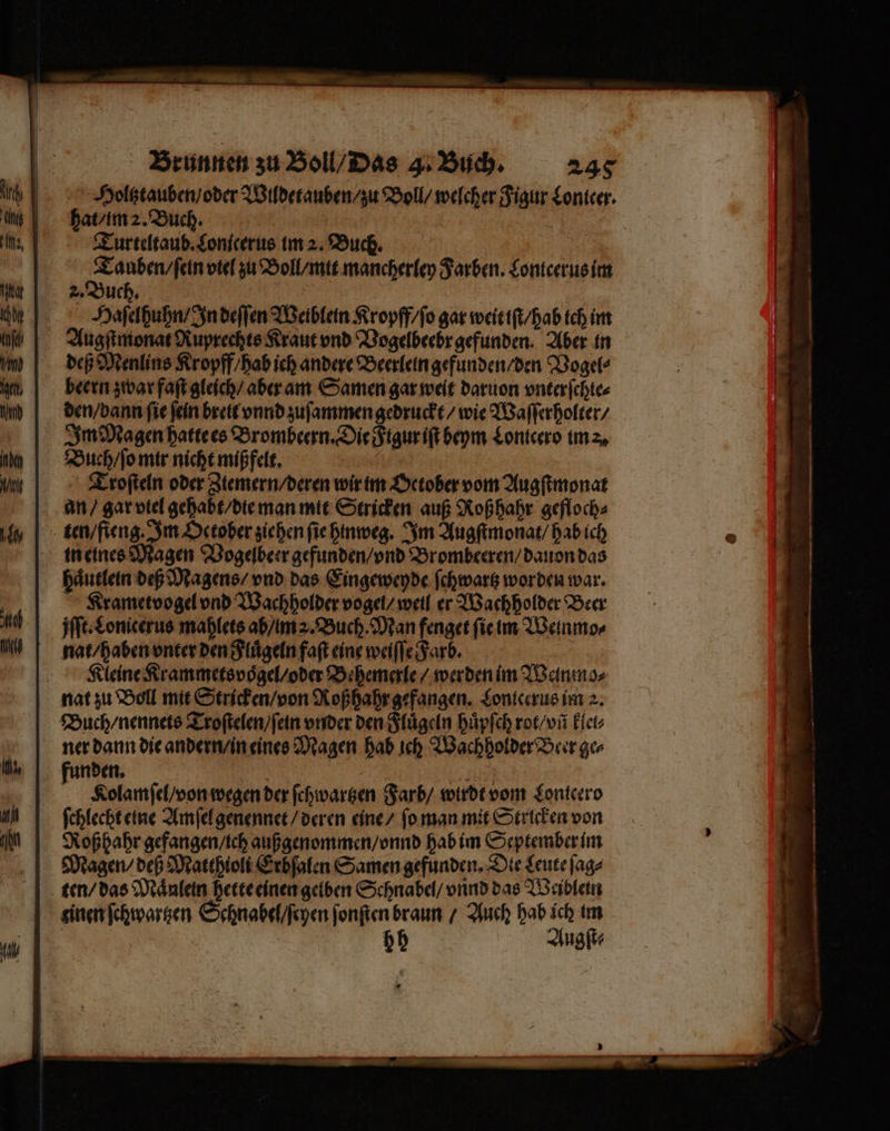 Holtztauben / oder Wildetauben / zu Boll / welcher Figur Lontcer. hat / im 2. Buch. | Tur teltaub. Lonicerus im 2. Buch. e viel zu Boll / mit mancherley Farben. Lonteerus im 2. ut * Haſelhuhn / In deſſen Weiblein Kropff / ſo gar weit iſt / hab ich im Augſtmonat Ruprechts Kraut vnd Vogelbeebr gefunden. Aber in deß Menlins Kropff / hab ich andere Beerlein gefunden / den Vogel⸗ beern zwar faſt gleich / aber am Samen gar weit daruon vnterſchte⸗ den / bann ſie ſein breit vnnd zuſammen gedruckt / wie Waſſerholter / Im Magen hatte es Brombeern. Die Ftgur iſt beym Lonicero im z. Buch / ſo mir nicht miß felt. e | Troſteln oder Ztemern/deren wir im October vom Augſtmonat an / gar vtel gehabt / die man mit Stricken auß Roß hahr gefloch⸗ ten / fieng. Im October ziehen ſie hinweg. Im Augſtmonat / hab ich in eines Magen Vogelbeer gefunden / vnd Brombeeren / dauon das haͤutlein deß Magens / vnd das Eingeweyde ſchwartz worden war. Krametvogel vnd Wachholder vogel / weil er Wachholder Beer jſſt. Lonicerus mahlets ab / im . Buch. Man fenget ſie im Weinmo⸗ nat / haben vnter den Fluͤgeln faſt eine weiſſe Farb. ; Kleine Krammetsvoͤgel / oder Behemerle / werden im Weinmo⸗ nat zu Boll mit Stricken / von Roß hahr gefangen. Lontcerus im 2. Buch / nennets Troſtelen / ſein order den Fluͤgeln huͤpſch rot / vñ klel⸗ ner dann die andern / in eines Magen hab ich Wachholder Beer ge⸗ f Kolamſel / von wegen der ſchwartzen Farb / wirdt vom Lontcero ſchlecht eine Amſel genennet / deren eine / ſo man mit Stricken von Roßhahr gefangen / ich außgenommen / vnnd hab im September im Magen / deß Matthioli Erbſalen Samen gefunden. Die Leute ſag⸗ ten / das Maͤnlein hette einen gelben Schnabel / vnnd das Weiblein tinen ſchwartzen Schnabel / ſeyen ſonſten braun / Auch hab ich im HH Augſt⸗