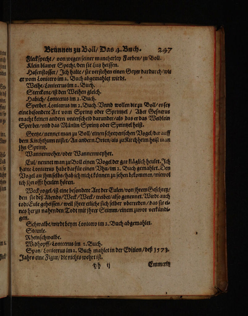 Fleck ſpecht / von wegen feiner mancherley Farben / zu Boll. Klein blawer Specht / den fie Lutz heiſſen. Haſenſtoſſer / Sch halte / fie verſtehen einen Geyer dardurch / wit er vom Lonicero im 2. Buch abgemahlet wird. 8 Weihe / Lonteerus im 2. Buch. Sterckene / iſt den Weihen gleich. Habich / Lonicerus im 2. Buch. Sperber. Lonicerus im 2. Buch. Vnnd wollen die zu Boll / es ſey eine beſondere Art vom Sprintz oder Sprintzel / Aber Geſnerus Sperber / vnd das Maͤnlin Sprintz oder Sprintzel heiſt. Gretze / nennet man zu Boll / einen ſchreyertſchen Vogel / der auff dem Kirchthurn niſtet / An andern Orten / als zu Kirchheim heiſt man ihn Spring, | Wannenweher / oder Wannenweyher. Eeul / nennet man zu Boll einen Vogel der gar klaͤglich heulet. Ich hatte Lonicerus habe darfuͤr einen Vhu / im 2. Buch gemahlet. Den Vogel an jhm ſelbs / hab ich nicht koͤnnen zu ſehen bekommen / wiewol ich jhn offt heulen hoͤren. | | Weck vogel / it eine beſondere Art der Eulen / von jhrem Geſchrey / den ſie deß Abends / Weck/ Weck / treibet / alſo genennet. Wirdt auch tod. Eule geheiſſen / weil ihrer etliche fich ſelber vberreden / das fir ei⸗ nes her zu nahenden Todt mit jhrer Stimm / einem zuvor verkuͤndi⸗