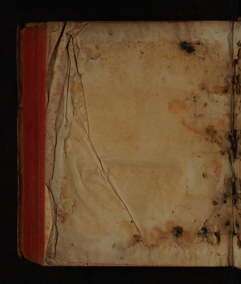 No text description is available for this image