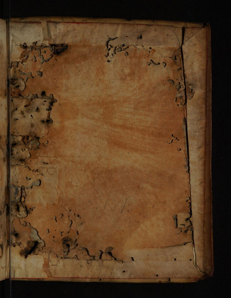 No text description is available for this image