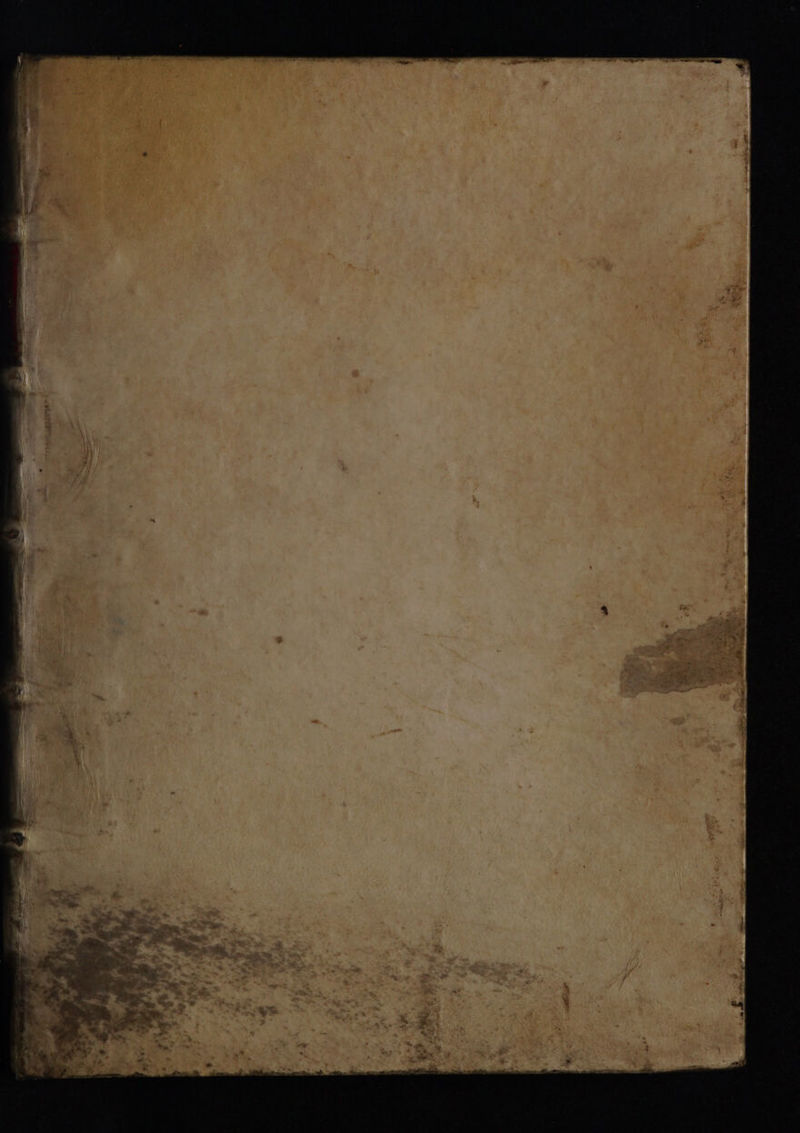 * ed P ML) n ^ ogg Y