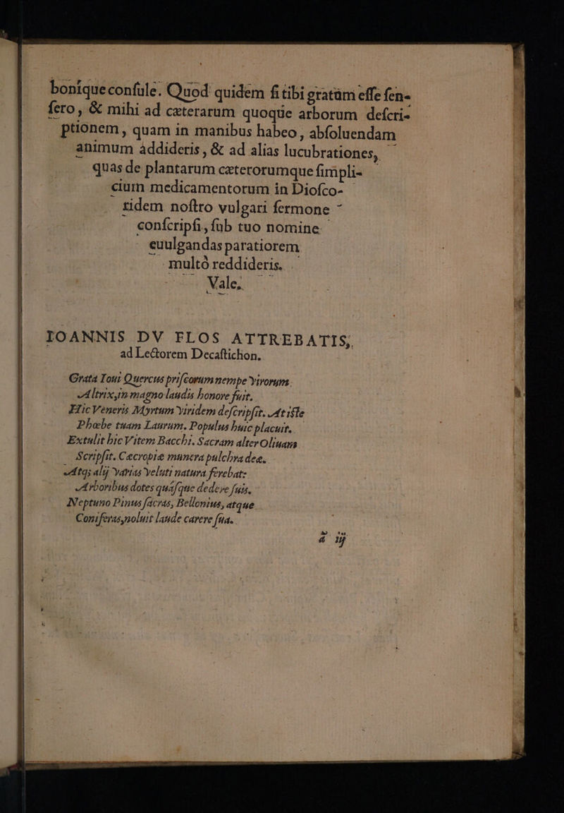 cium medicamentorum in Diofco- ridem noftro vulgari fermone ^ i conícripfi, füb tuo nomine. : euulgandas paratiorem | . multó reddideris. kii Male ad Le&amp;orem Decaftichon.. Grata Ioui Quercus prifcorum nempe Yivorym vA Itrixm magno laudis bonore fuit. Hic Veneris Myrtum Yiridem d efcribfit. At iile . Phebe tuam Laurum. Populus buic placut..— Extulit bic Vitem Bacchi. Sacram alter Oliuans Scripfit. Cecropre munera pulchra dee. dts alij Varias Yelutt natura fevebat: - e&amp;rboribus dotes quafque dedere fuis. Neptuno Pints facras, Bellontus, atque. Coriferasynoluit laude cavere fua.